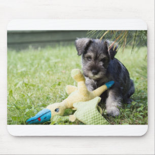 puppy 2 mini schnauzer muismat