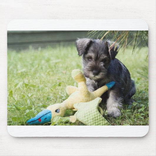 puppy 2 mini schnauzer muismat (Voorkant)
