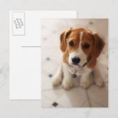 Puppy 2 van de brak briefkaart (Voorkant / Achterkant)