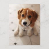 Puppy 2 van de brak briefkaart (Voorkant)