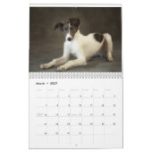 puppy 2 van de Silken Windhounds 2 Kalender (Mar 2027)