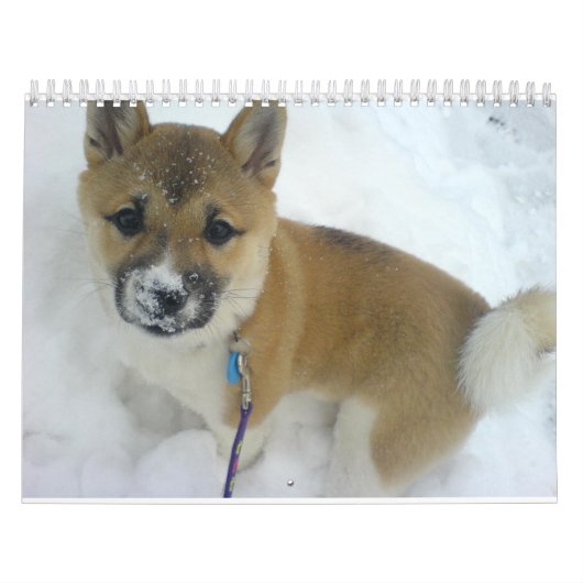 Puppy 3 Shiba Inu.png Kalender (Hoes)