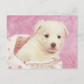 Puppy 5 briefkaart (Voorkant)