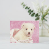 Puppy 5 briefkaart (Staand voorkant)
