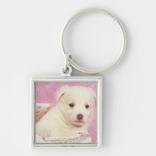 Puppy 5 sleutelhanger (Voorkant)