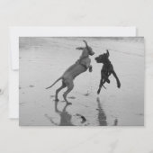 Puppy Aankondiging (Achterkant)