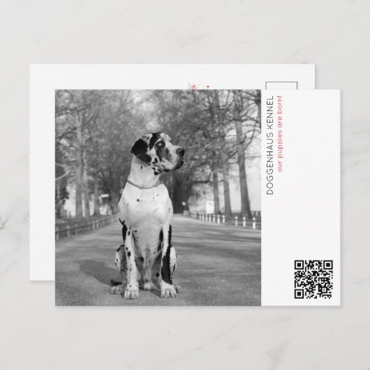 Puppy aankondiging briefkaart (Voorkant / Achterkant)