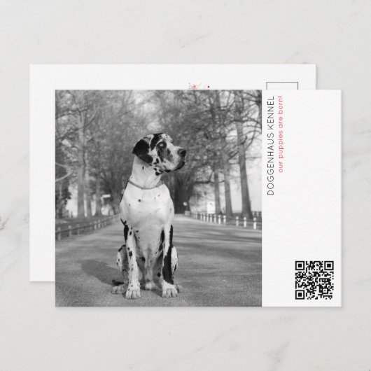 Puppy aankondiging briefkaart (Voorkant / Achterkant)