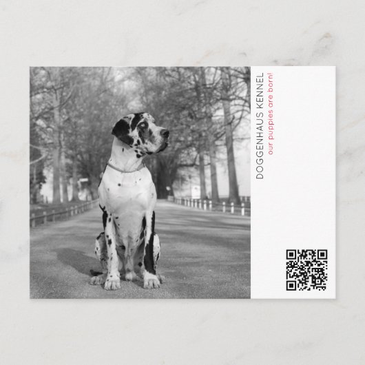 Puppy aankondiging briefkaart (Voorkant)