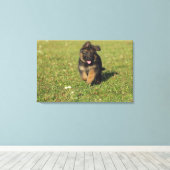 Puppy actief canvas afdruk (Insitu (Houten vloer))