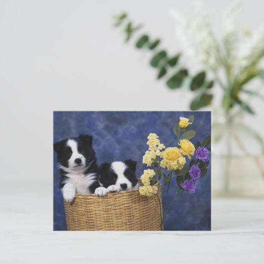 Puppy Afbeelding Briefkaart (Staand voorkant)