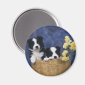 Puppy Afbeelding Magneet (Voorkant / Achterkant)