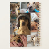 Puppy Agenda (Achterkant)