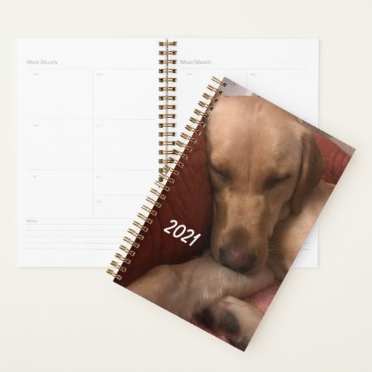 Puppy Agenda (Display)