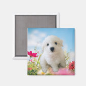 Puppy Angel Magneet (Voorkant / Achterkant)