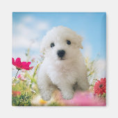 Puppy Angel Magneet (Voorkant)