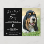 Puppy Announcement Black Elegant Modern Glitter Briefkaart (Voorkant)