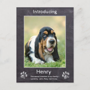 Puppy Announcement - Chalkboard New Puppy Dog Briefkaart
