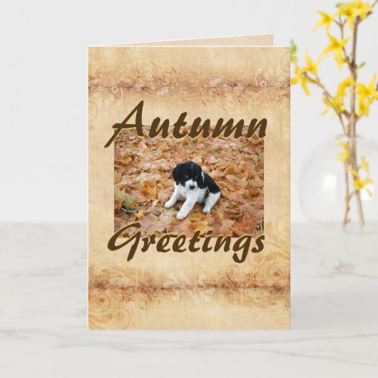 Puppy Autumn Greetings Kaart (Gele Bloem)