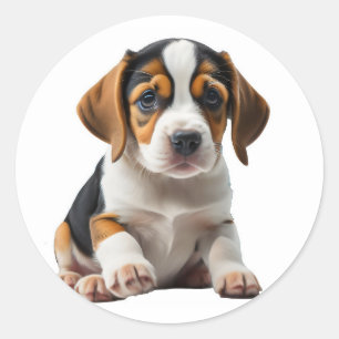 Puppy Beagle Ronde Sticker