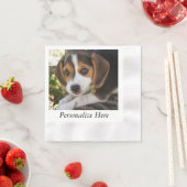 Puppy Beagles Servet (Insitu)