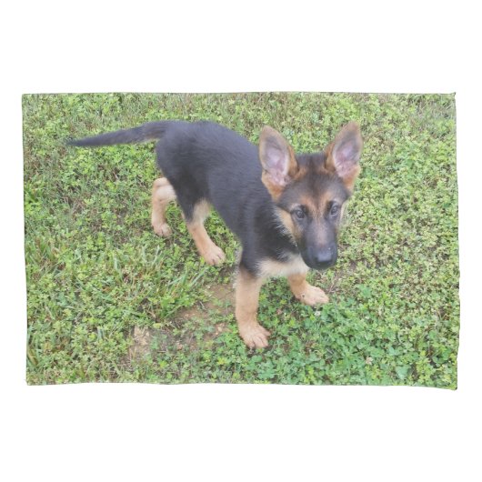 Puppy beschermd kussensloop (Voorkant)