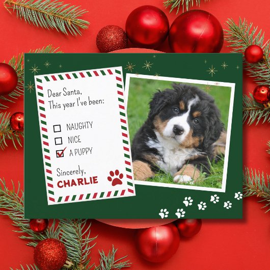 Puppy Beste Kerstman Groene Kerst Wenskaart Briefkaart