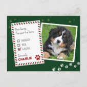 Puppy Beste Kerstman Groene Kerst Wenskaart Briefkaart (Voorkant)