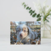 Puppy Briefkaart (Staand voorkant)