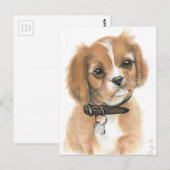 Puppy Briefkaart (Voorkant / Achterkant)