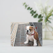 puppy briefkaart (Staand voorkant)