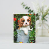 Puppy Briefkaart (Staand voorkant)