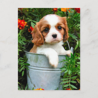 Puppy Briefkaart