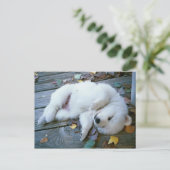 puppy briefkaart (Staand voorkant)