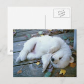 puppy briefkaart (Voorkant / Achterkant)