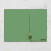 Puppy Briefkaart (Achterkant)