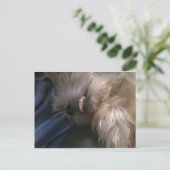 puppy briefkaart (Staand voorkant)