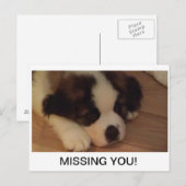 Puppy Briefkaart (Voorkant / Achterkant)