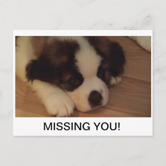 Puppy Briefkaart (Voorkant)