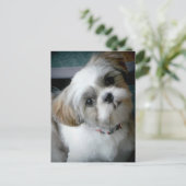 Puppy Buddie Briefkaart (Staand voorkant)