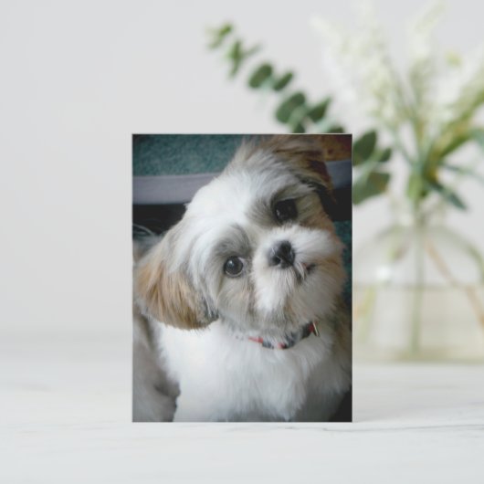 Puppy Buddie Briefkaart (Staand voorkant)