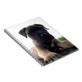 Puppy Bullmastiff Notitieboek (Rechterzijde)