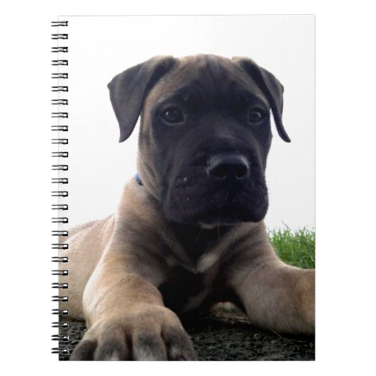 Puppy Bullmastiff Notitieboek (Voorkant)