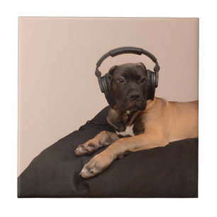 Puppy Bullmastiff Tegeltje