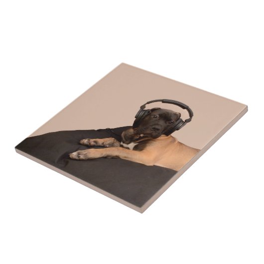 Puppy Bullmastiff Tegeltje (Zijkant)