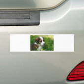 Puppy Bumpersticker (Op auto)