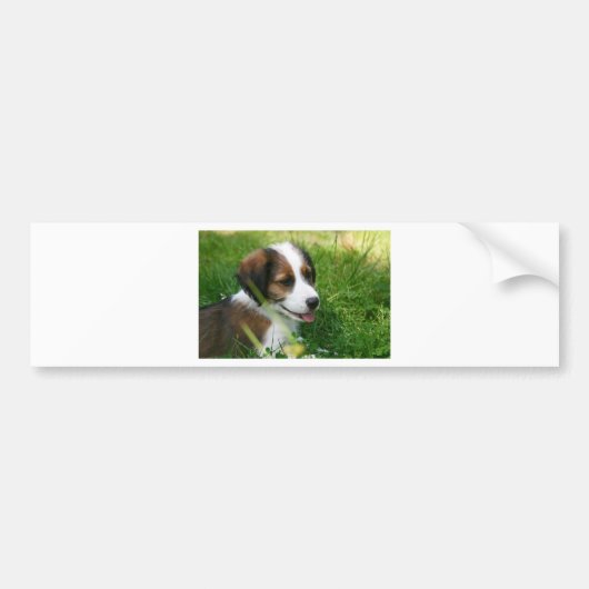 Puppy Bumpersticker (Voorkant)