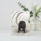 Puppy Butt Briefkaart (Staand voorkant)