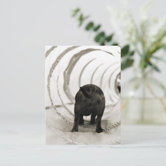 Puppy Butt Briefkaart (Staand voorkant)