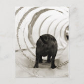 Puppy Butt Briefkaart (Voorkant)